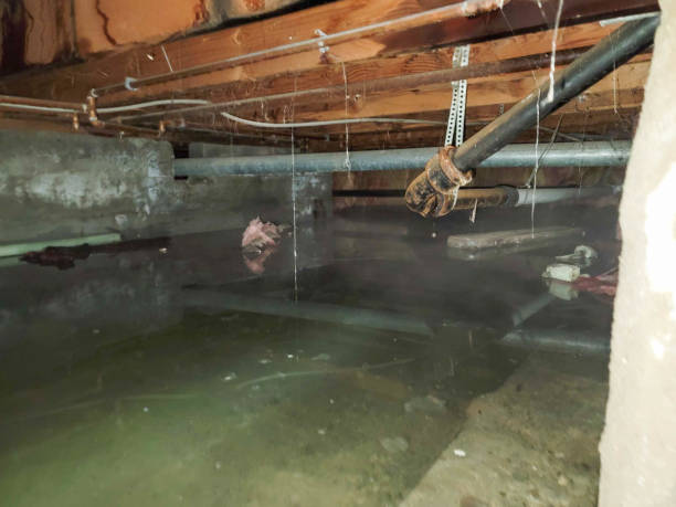 Sewage cleanup and water damage restoration in Tualatin, OR