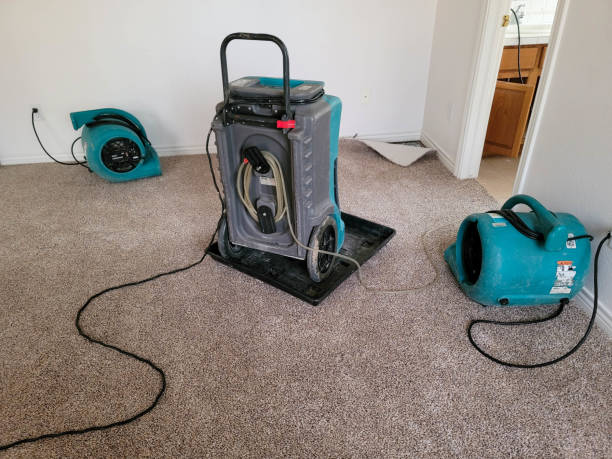 Best Flood restoration services  in Tualatin, OR