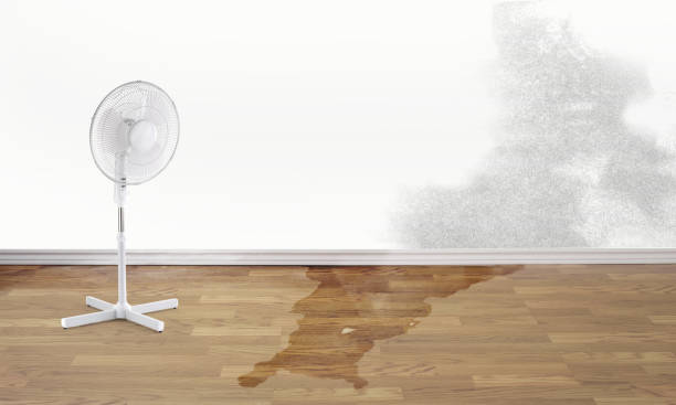 24/7 water damage repair in Tualatin, OR