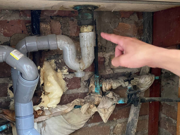 Best Flood damage cleanup  in Tualatin, OR