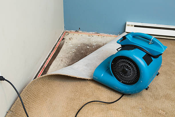Best 24/7 water damage repair  in Tualatin, OR